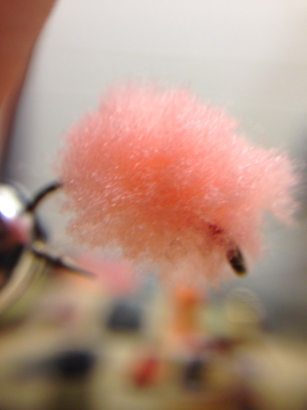 Pink is the new black (gnats)!