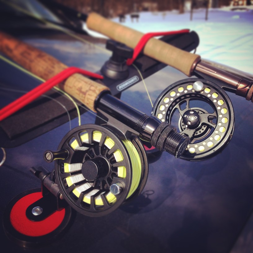 @theblackgnats on Instagram