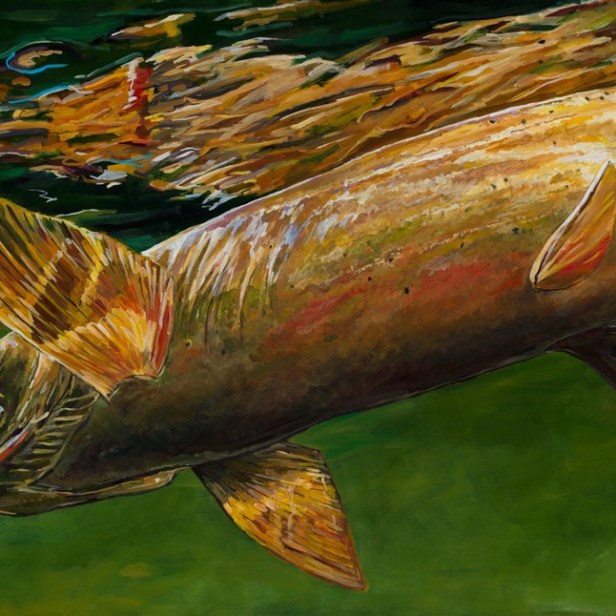 ©Tightline Studio - Art by Josh Udesen