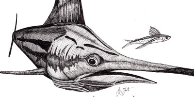 "Bill Fish." ©Jay Talbot