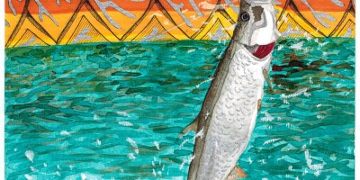 "Dancin' Tarpon." ©Jay Talbot