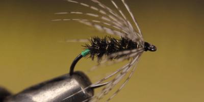 Peacock and Partridge by Tightline Productions